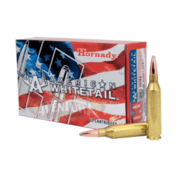 C308 WIN – HORNADY – 165 GR BTSP AW