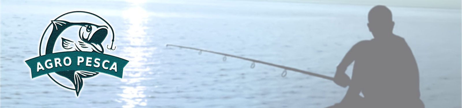 BANNER INICIO 11